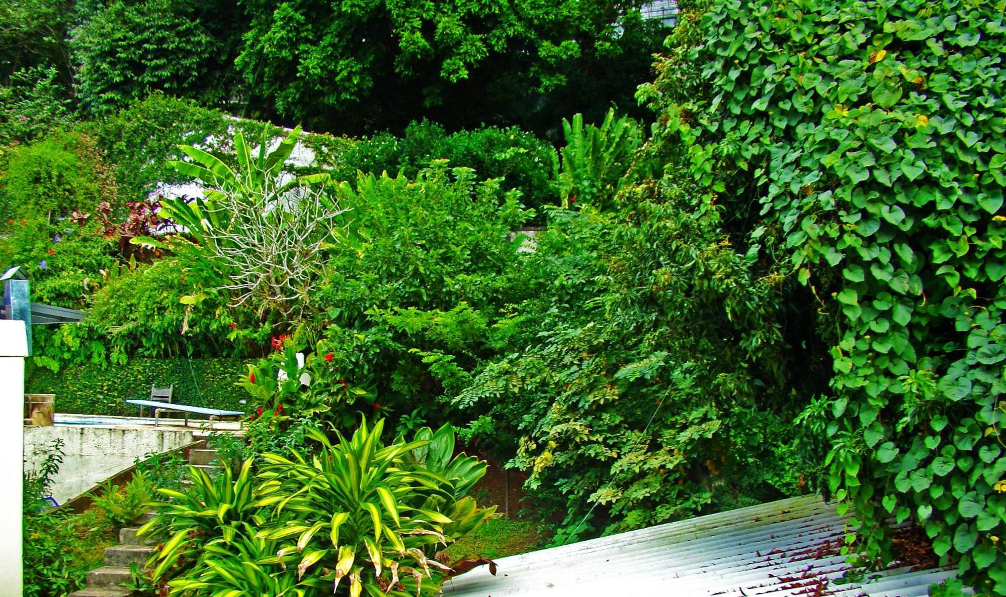 Hostel Espaco Afrodite Se Quiser Rio de Janeiro